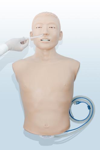 鼻胃管插管訓練模型
